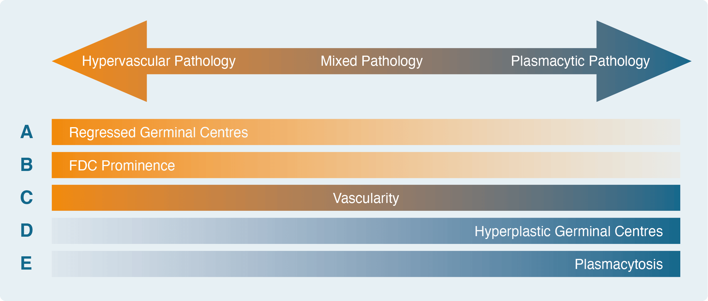 Diagram showing how to diagnose subtypes of iMCD